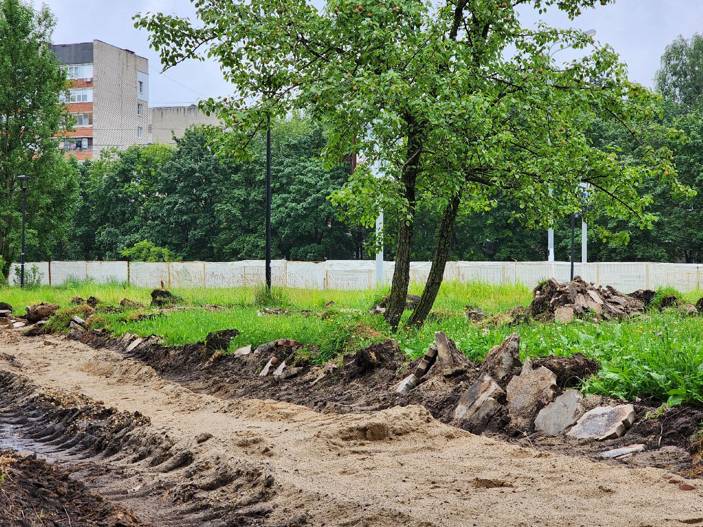жители, благоустройство, общество, ремонт, сквер, электросталь,