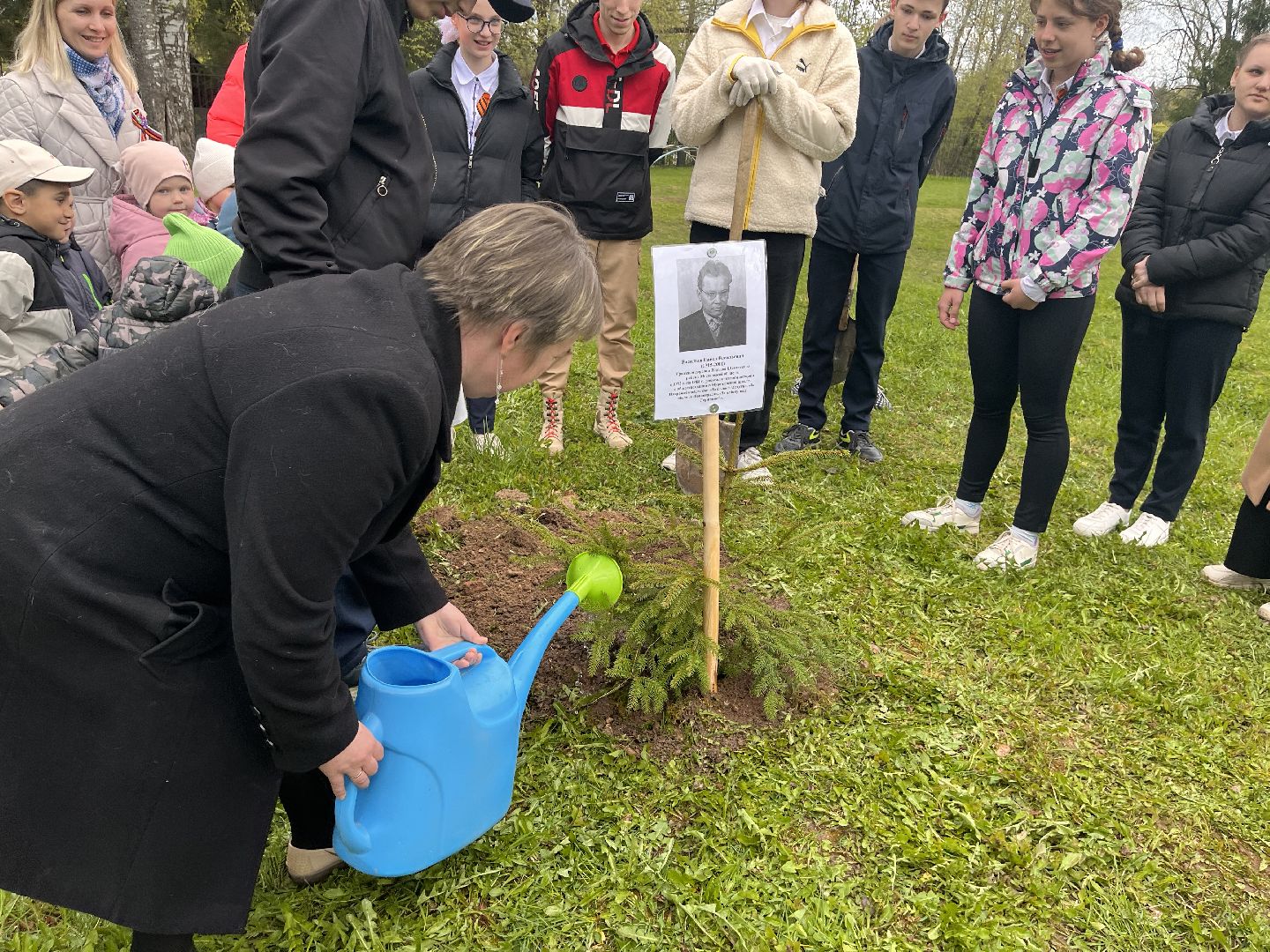 Шаховская, сад памяти, деревья