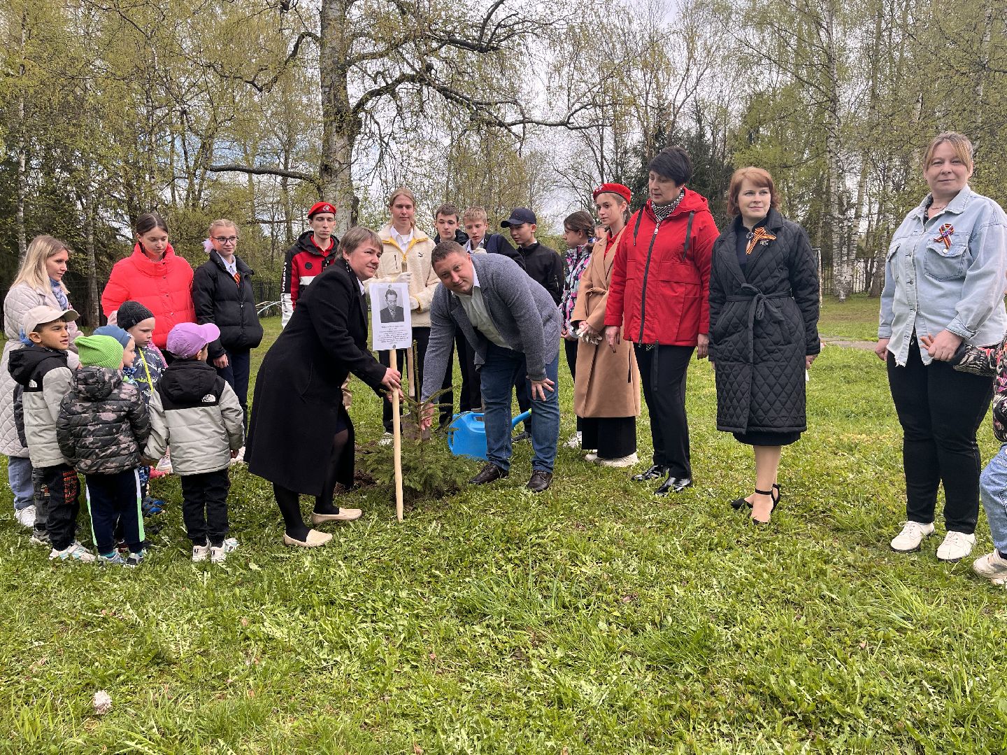 Шаховская, сад памяти, деревья