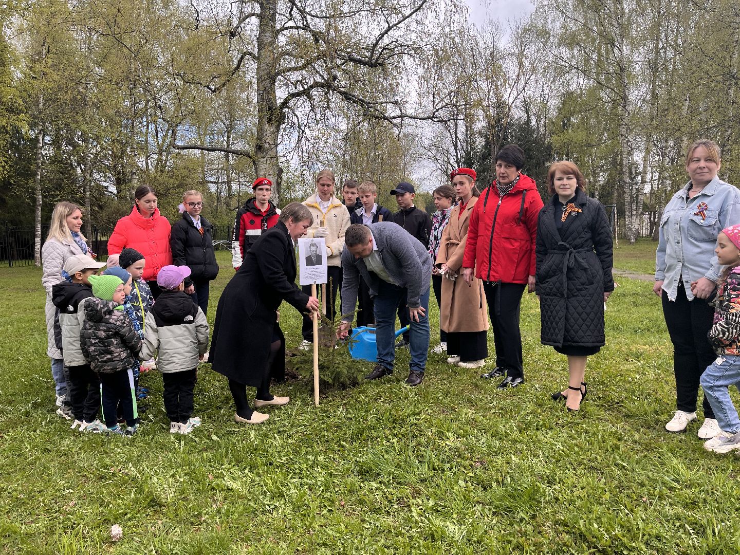 Шаховская, сад памяти, деревья