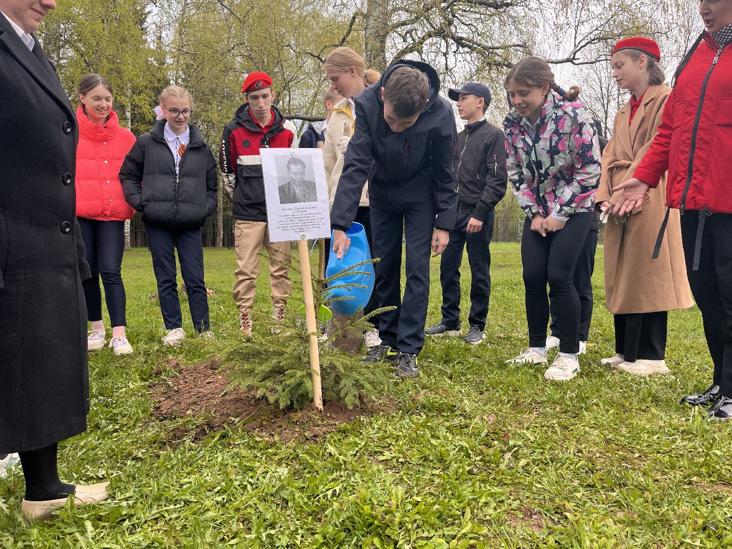 Шаховская, сад памяти, деревья