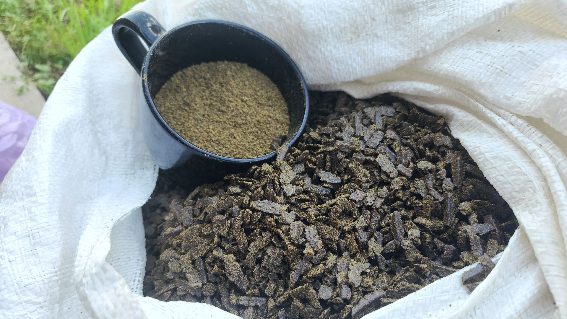 волоколамск, агротуризм, зеленая энергетика,