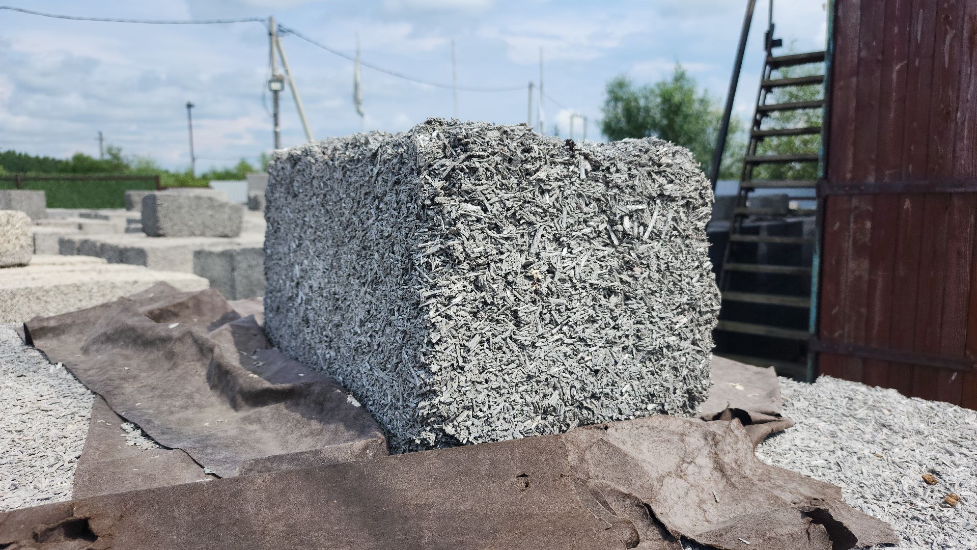 волоколамск, агротуризм, зеленая энергетика,