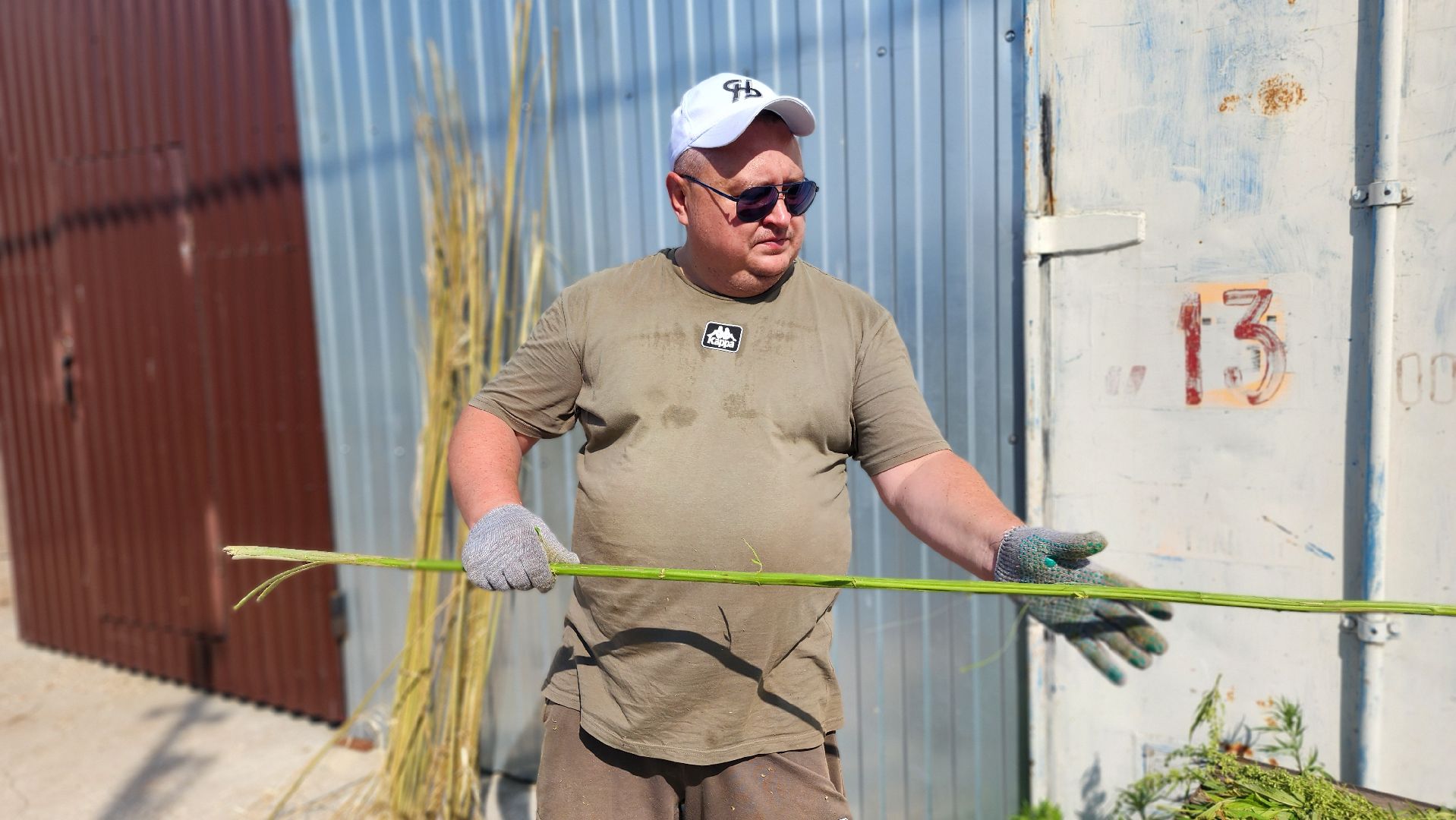 волоколамск, агротуризм, зеленая энергетика,