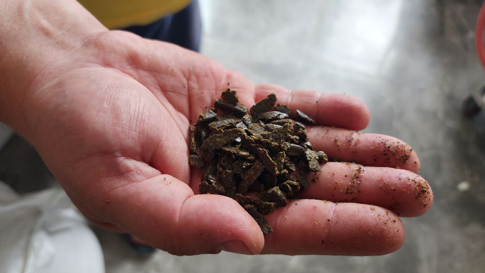 волоколамск, агротуризм, зеленая энергетика,