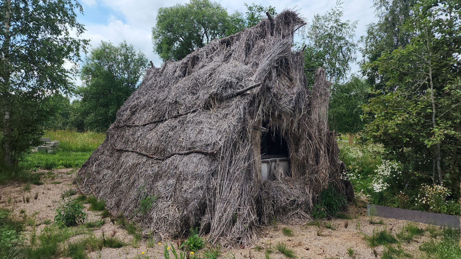 волоколамск, агротуризм, зеленая энергетика,