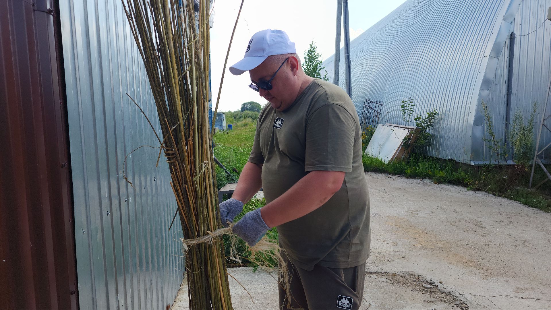 волоколамск, агротуризм, зеленая энергетика,