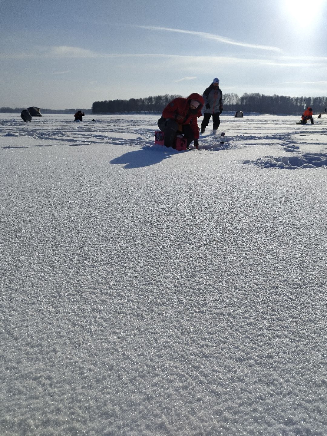 Истра, волонтеры, экология