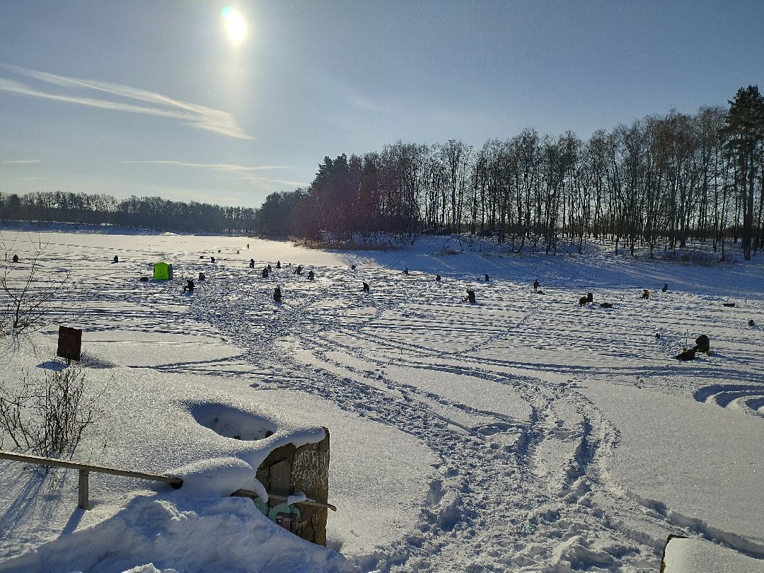 Истра, волонтеры, экология