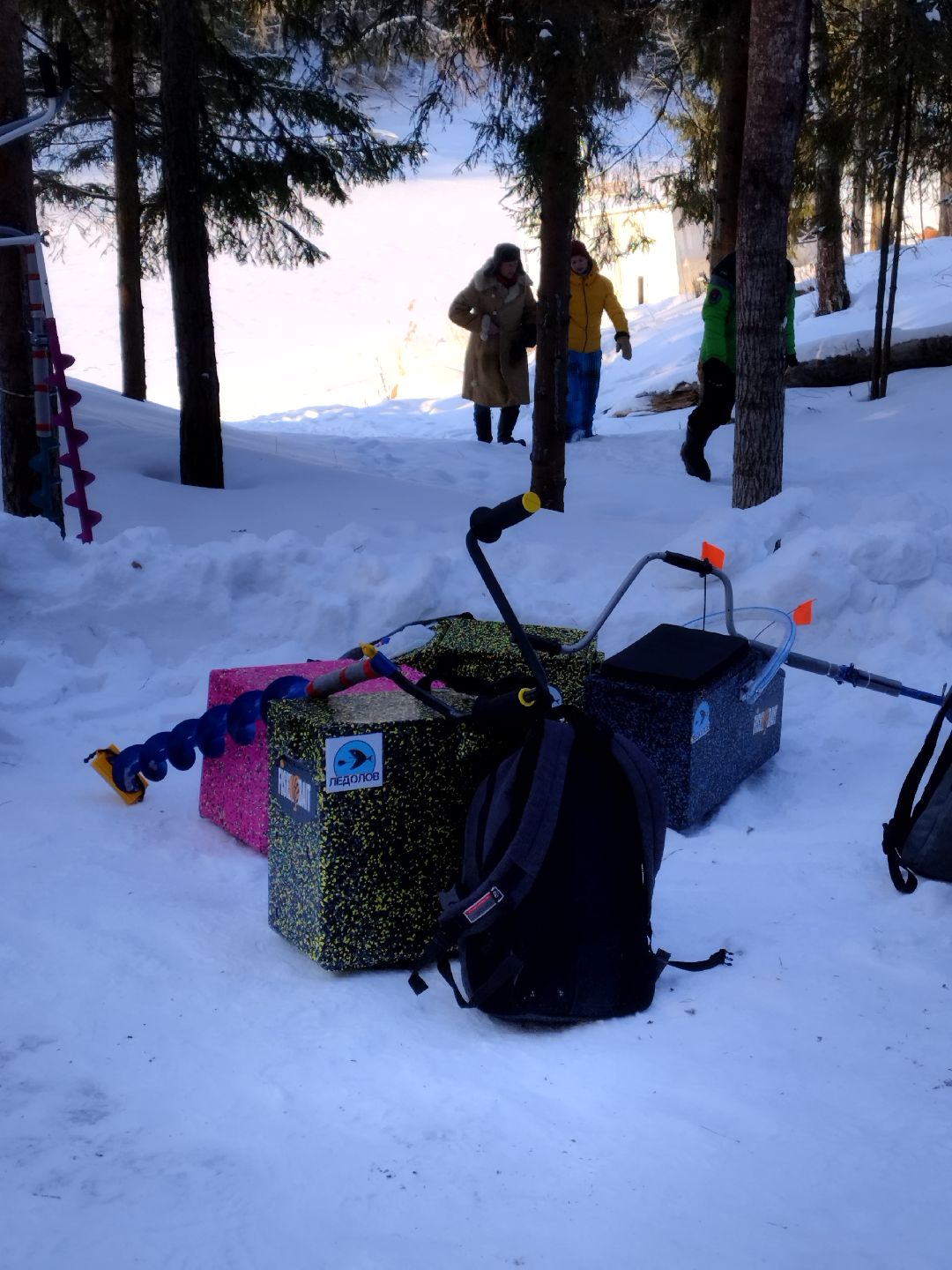 Истра, волонтеры, экология