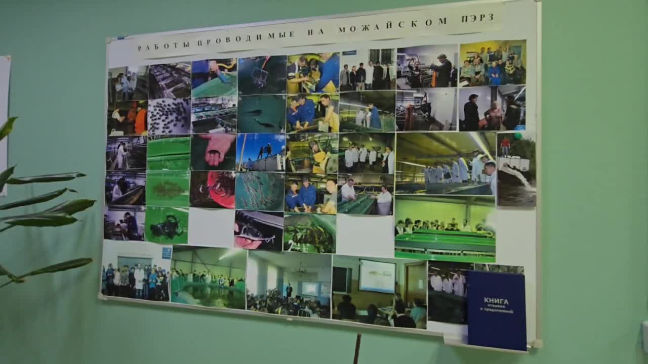 /mediabank_mount//78004/fdca674968b3867c5e0a9331998de22b.jpg