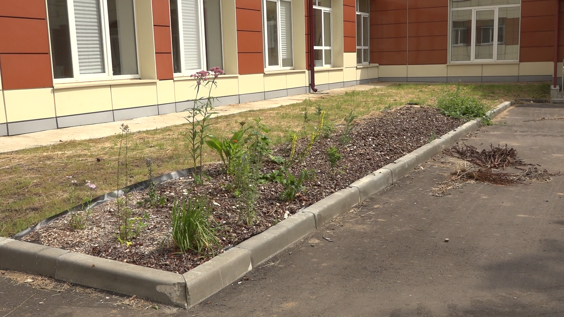 школа имени попова, школа перспектива, новый учебных год, готовность школ , первый класс,