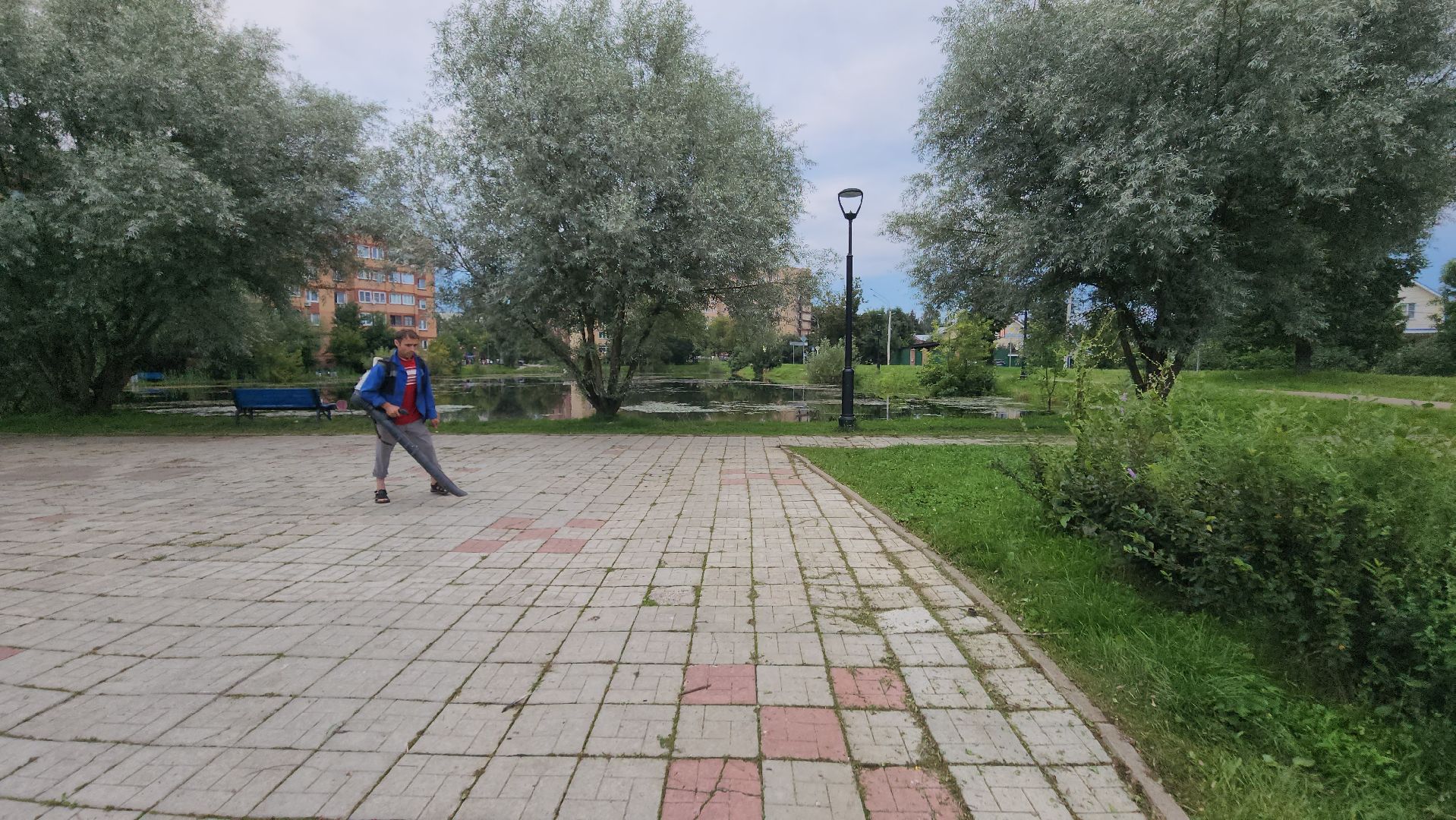 Истра, Уборка, Благоустройство,