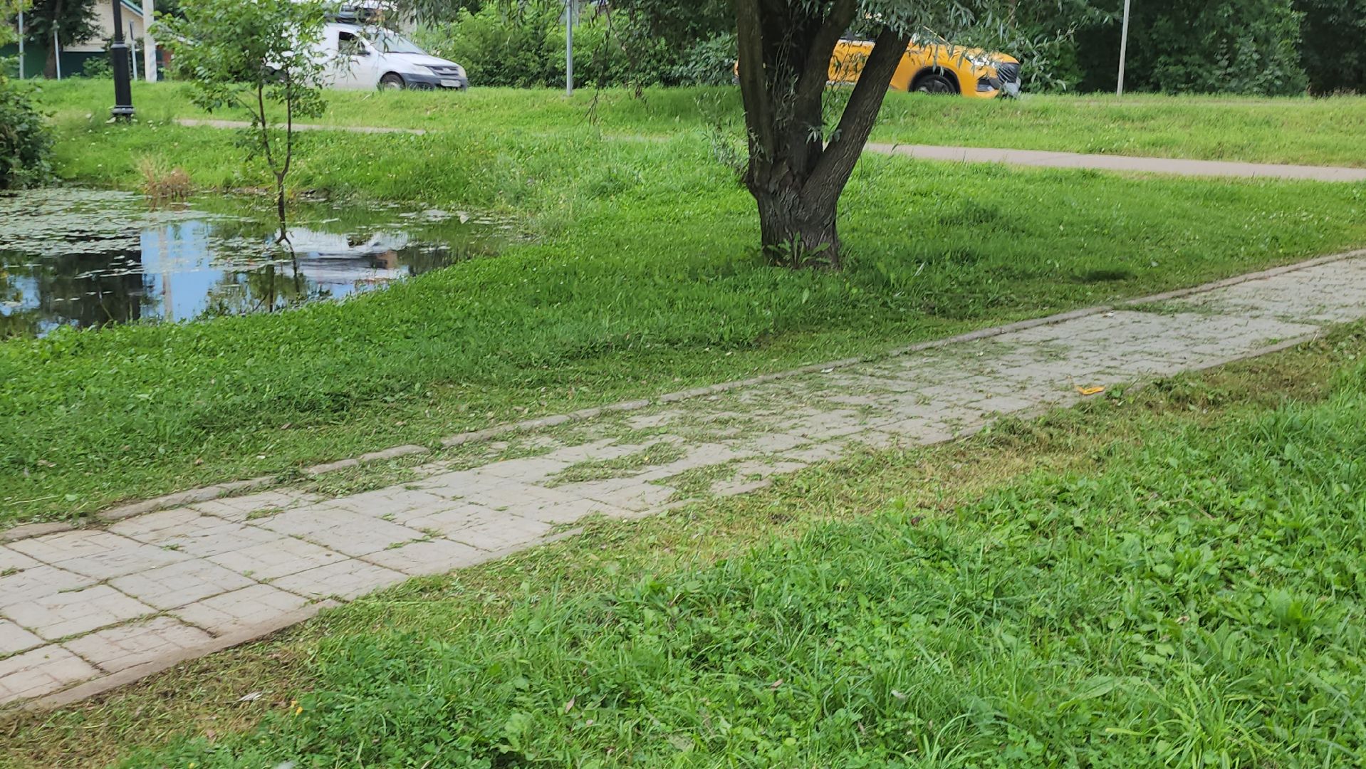 Истра, Уборка, Благоустройство,