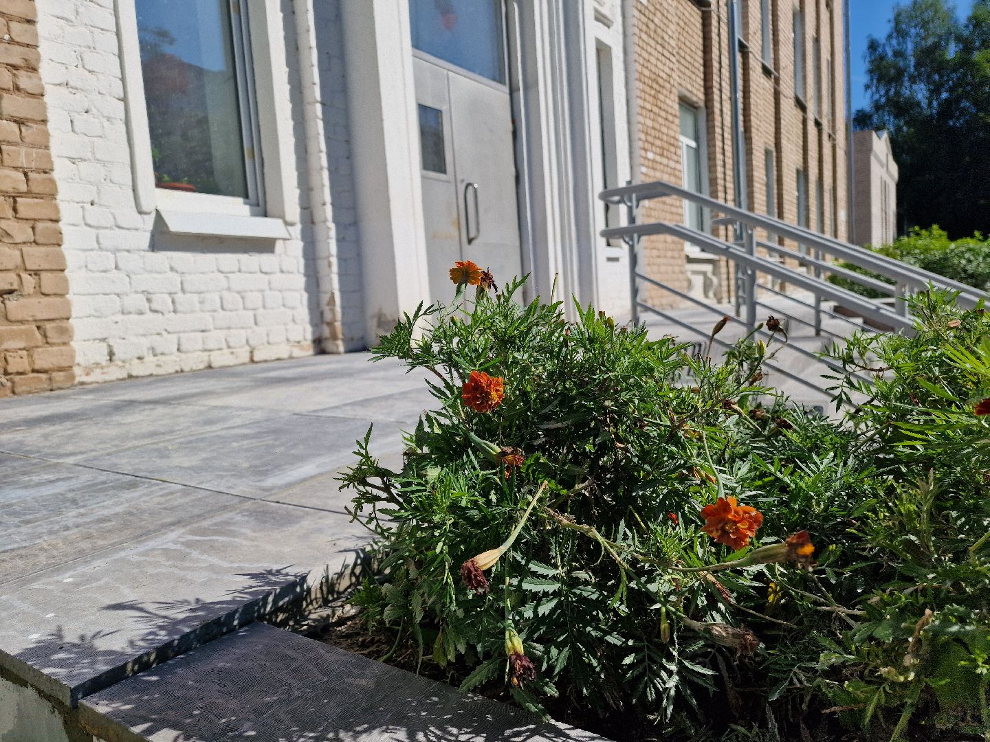 Школы, Дубна, Подготовкакучебномугоду,