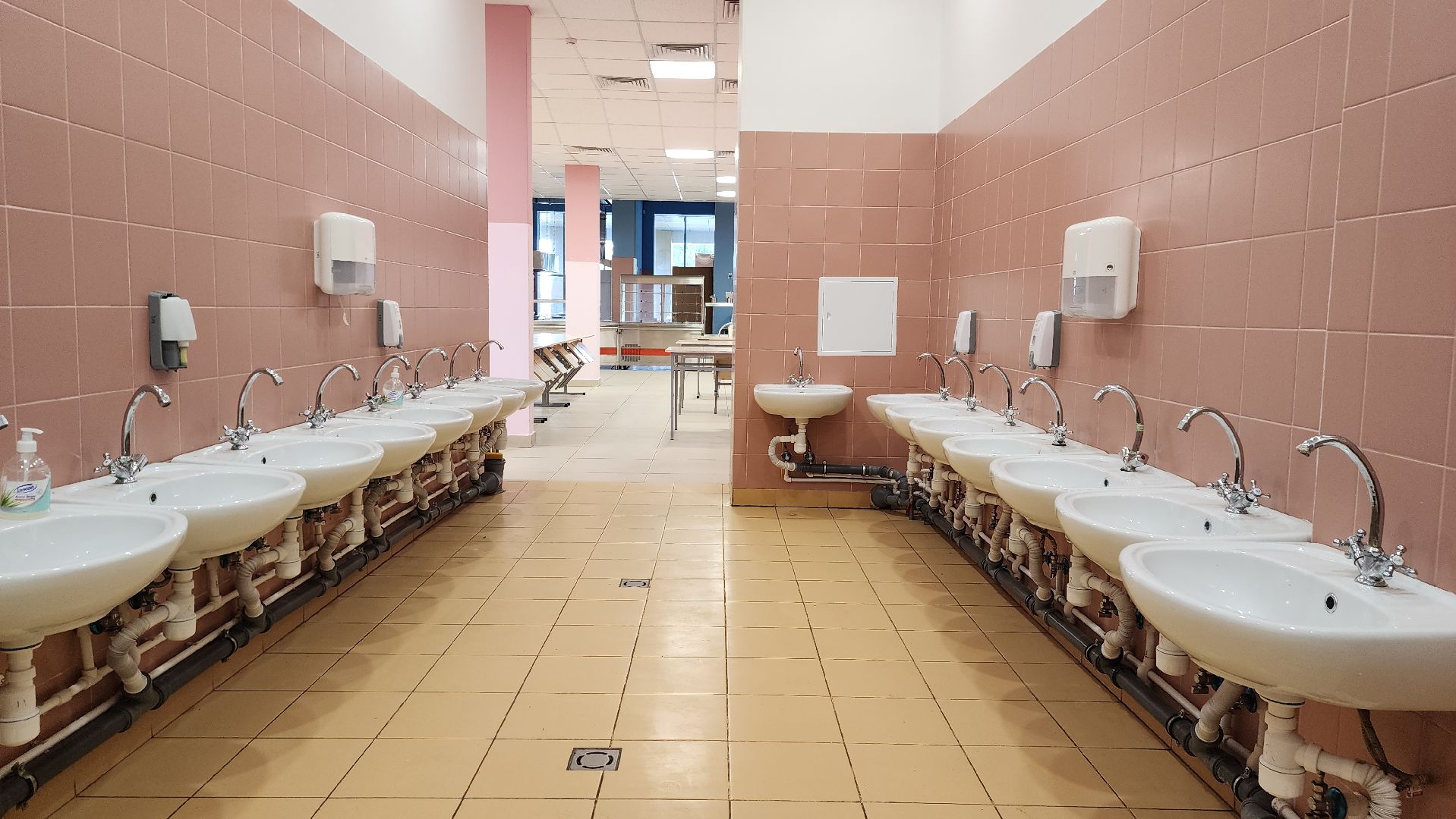 истра, образование, школа,