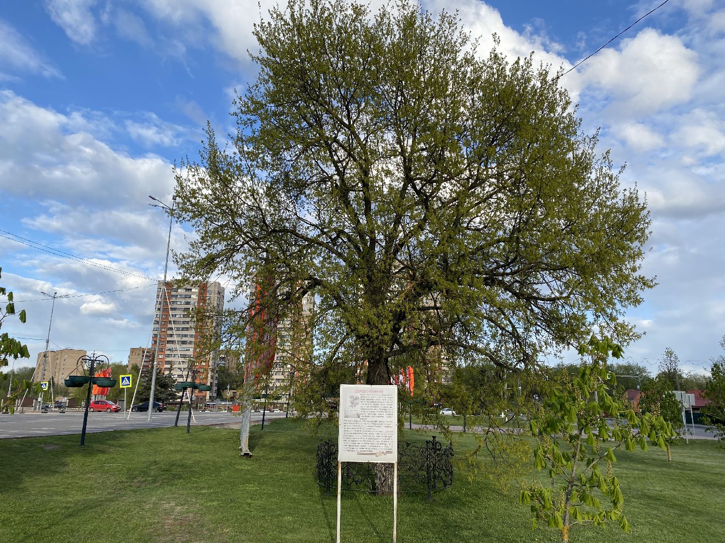 Чехов, Дерево памяти, ВОВ, День победы, житель, памятник