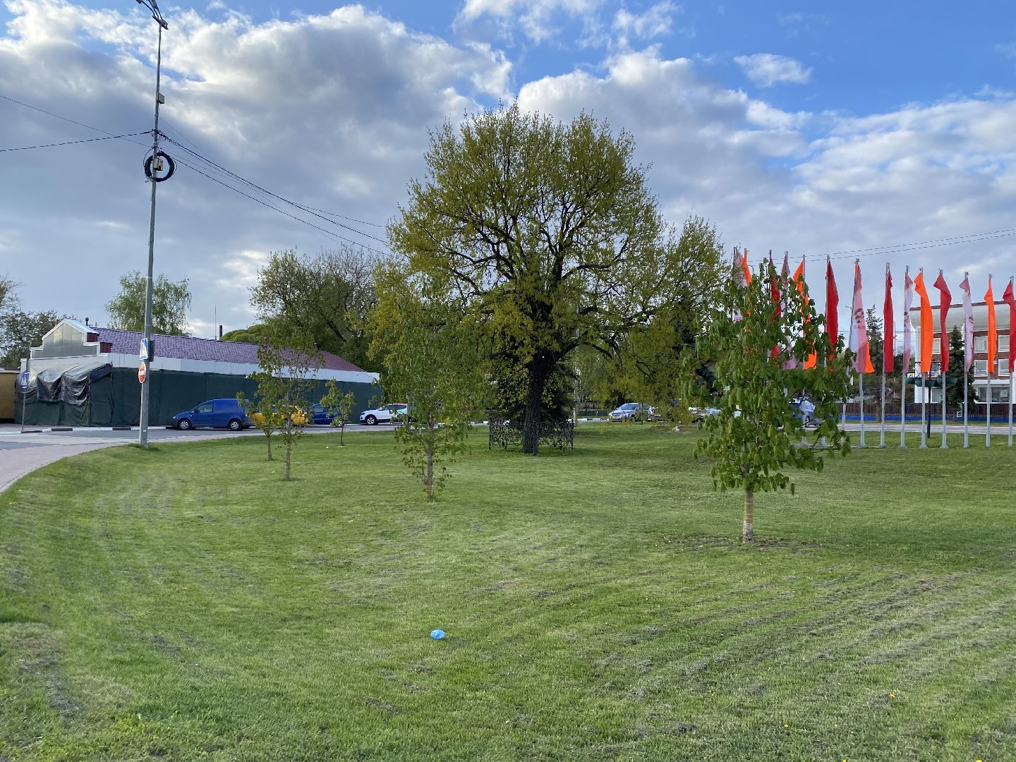 Чехов, Дерево памяти, ВОВ, День победы, житель, памятник