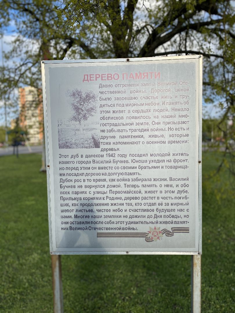 Чехов, Дерево памяти, ВОВ, День победы, житель, памятник