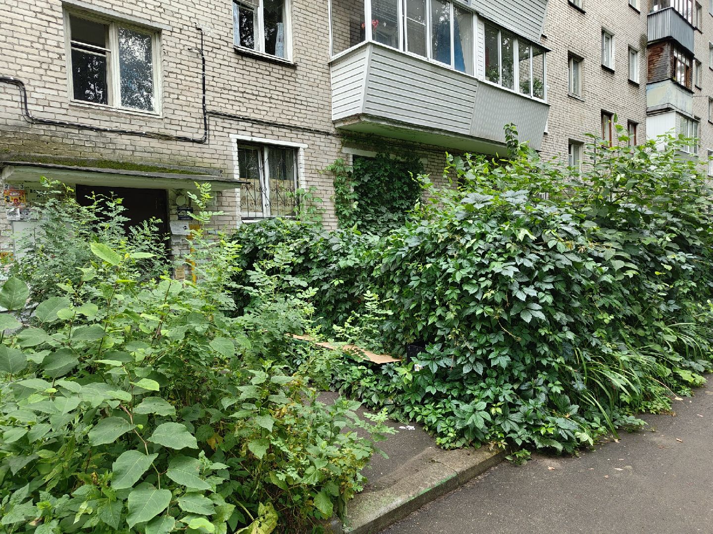 общество, лыткарино, выездная администрация, обращения жителей,