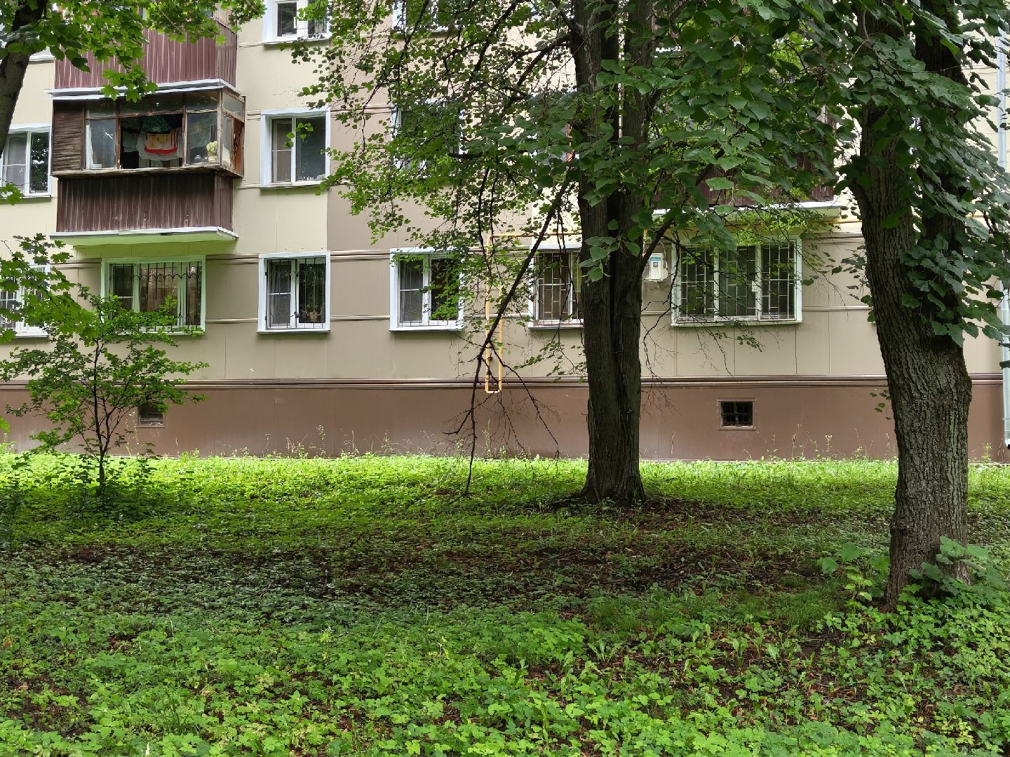 общество, выездная администрация, лыткарино, обращения жителей,