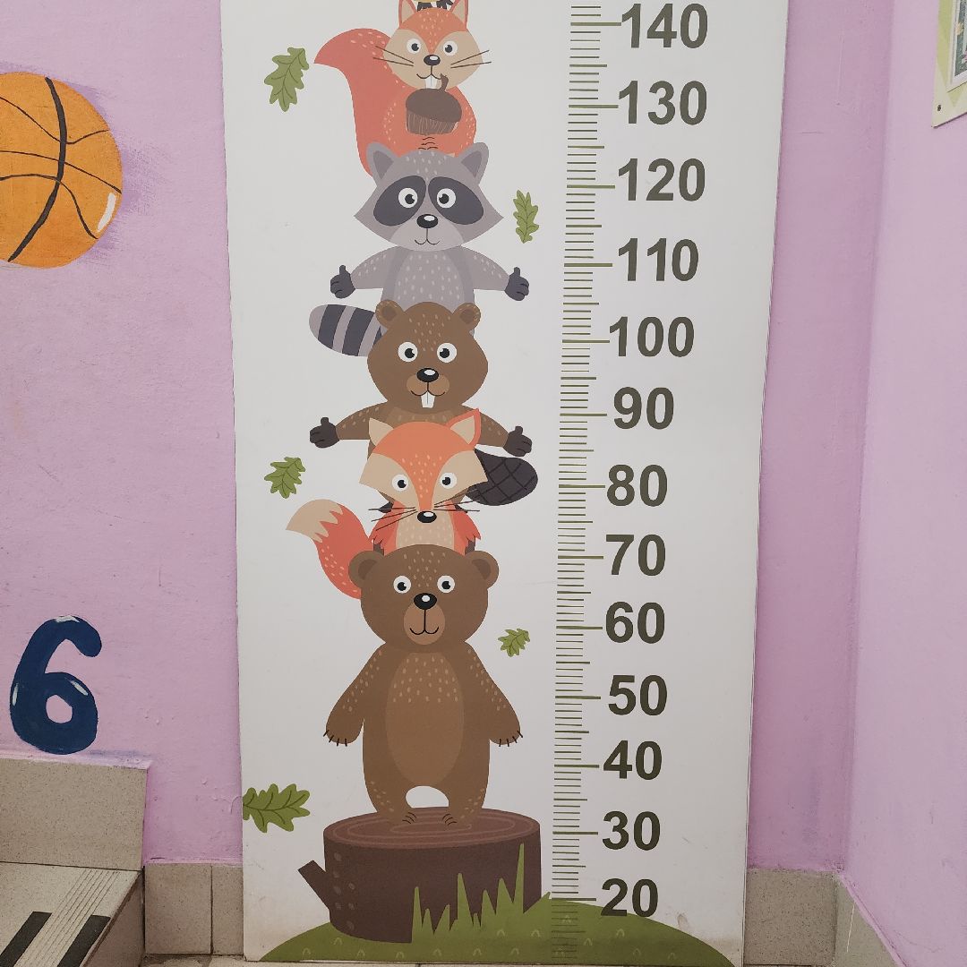 Образование, Ремонт детских садов, Общество , Подготовка к учебному году,