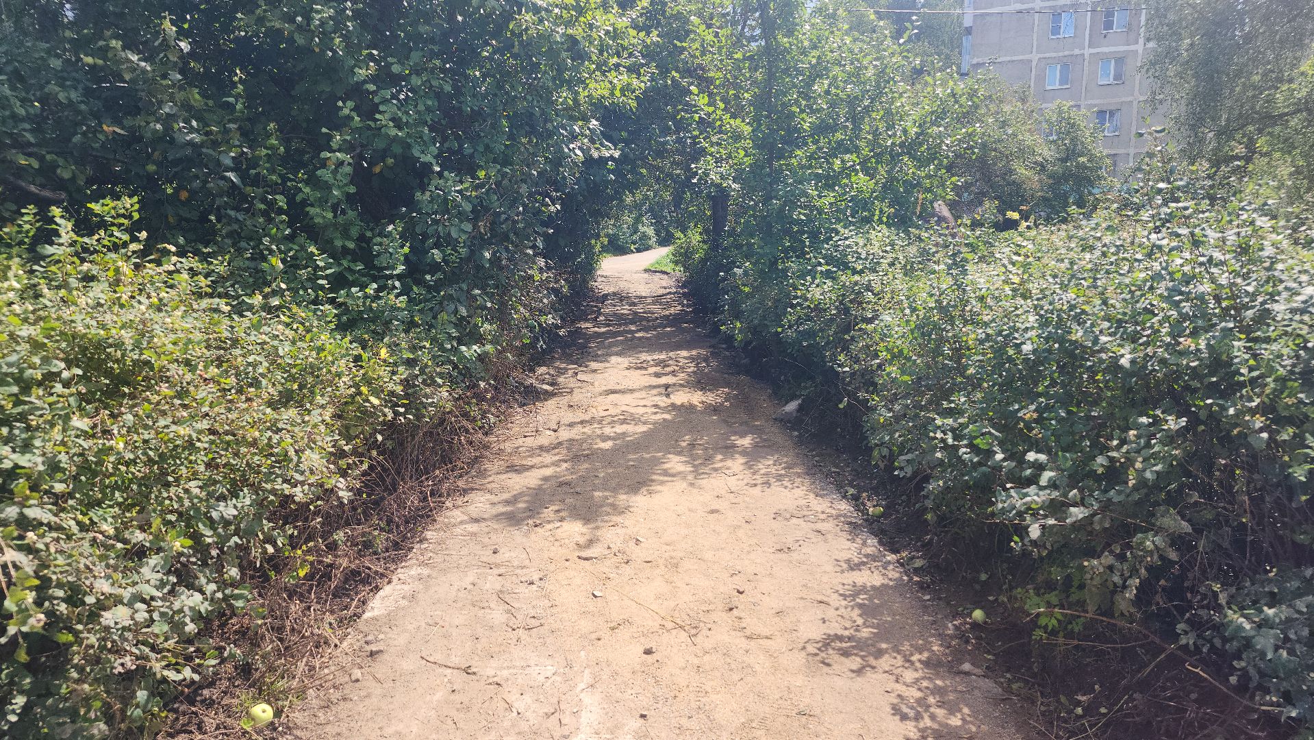 волоколамск, сычево, благоустройство сквера,