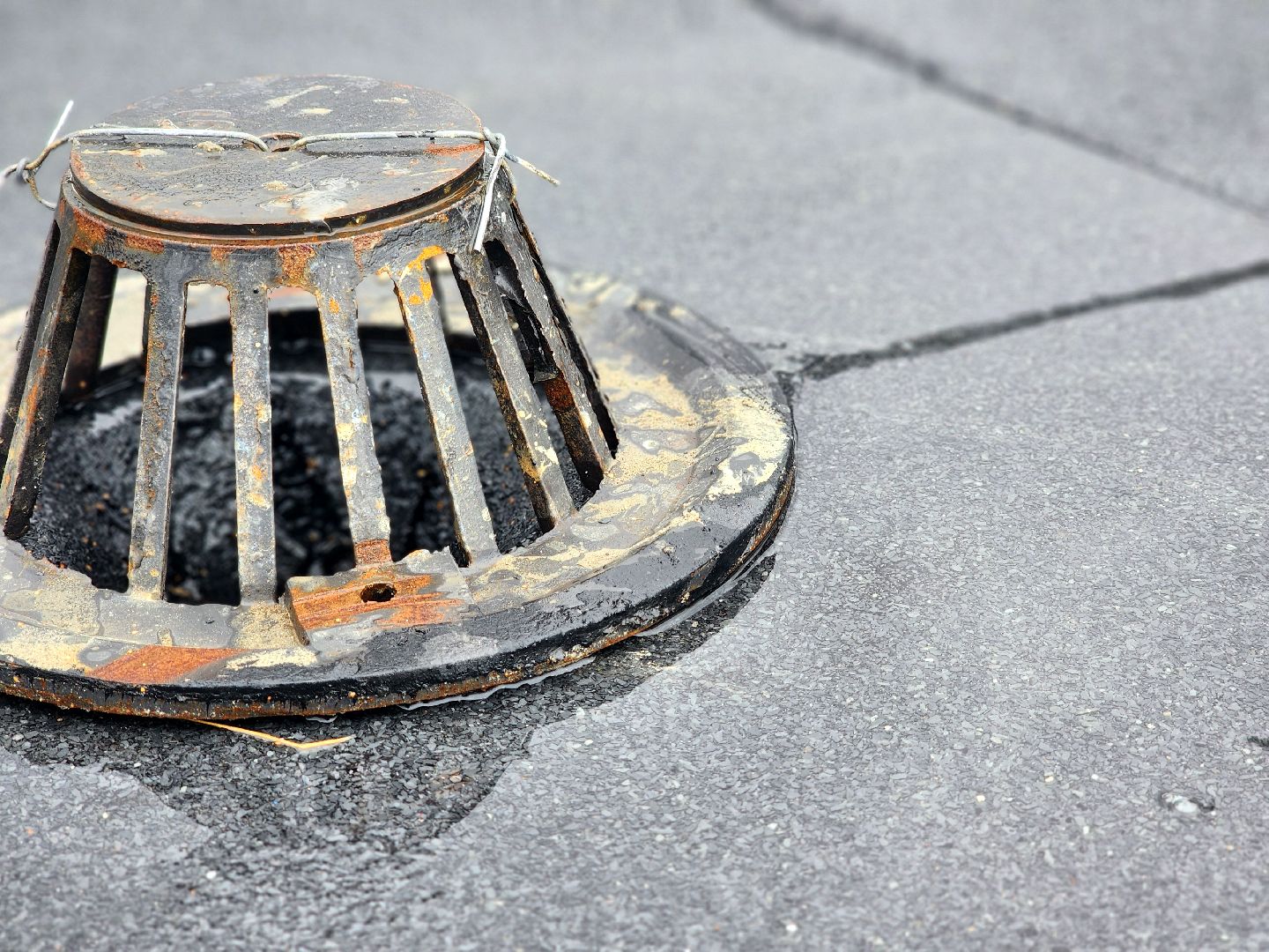 дубна, университет дубна, капитальный ремонт,