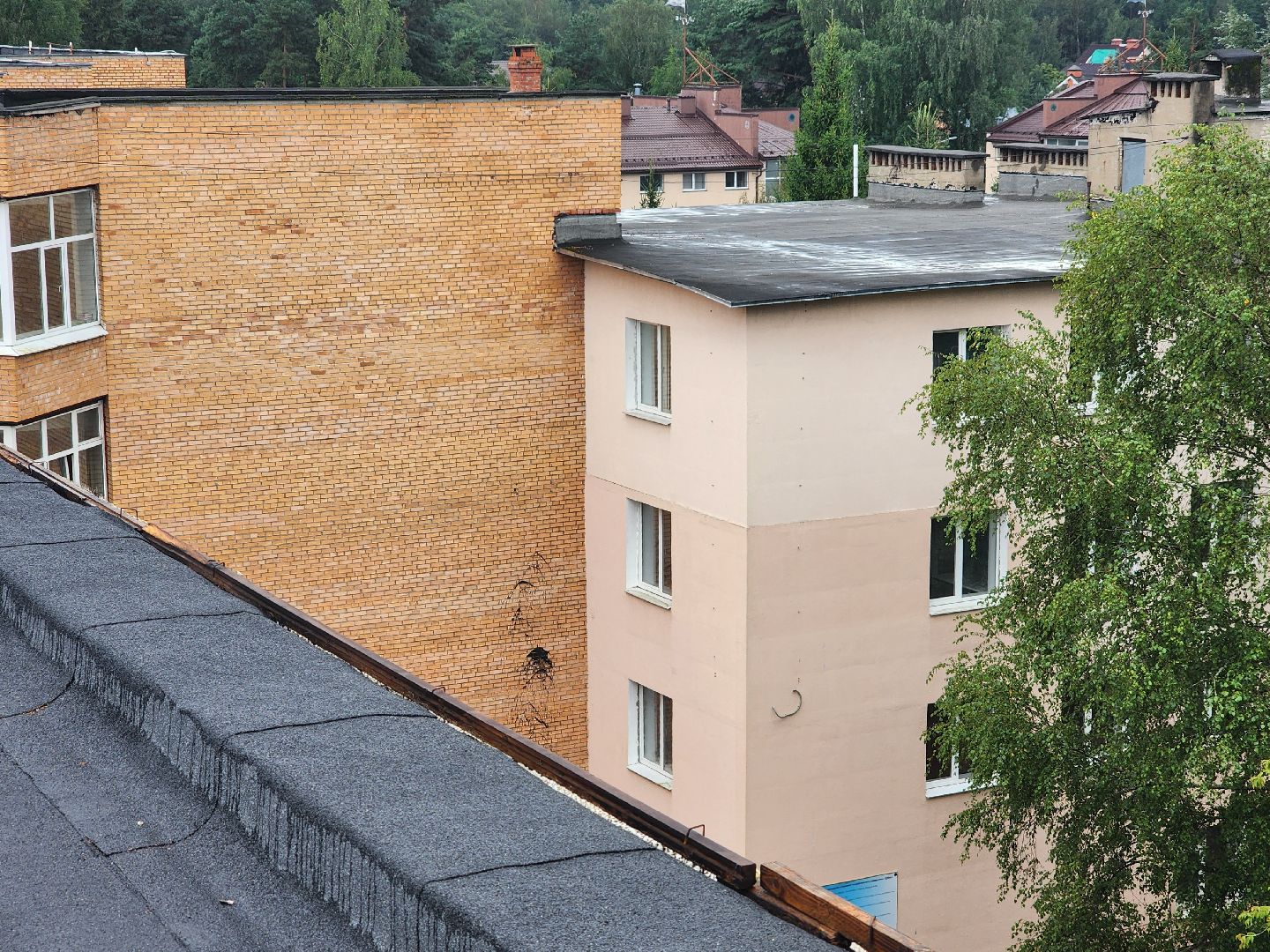 дубна, университет дубна, капитальный ремонт,