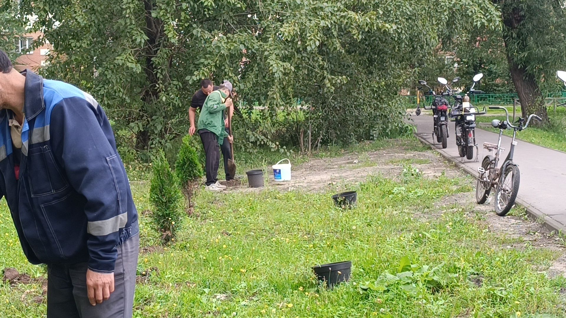 сквер,  лобня, озеленение города,