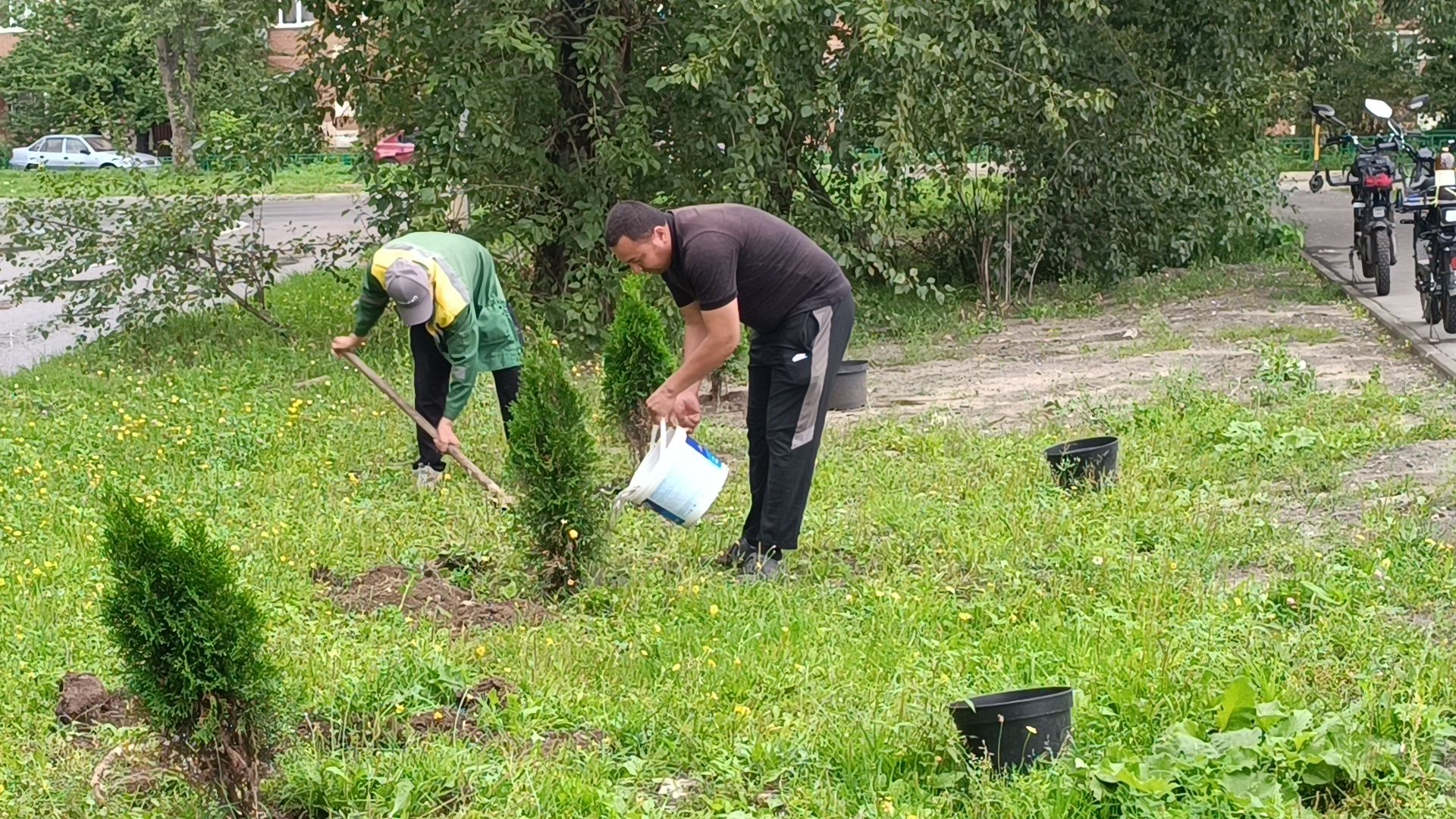 сквер,  лобня, озеленение города,