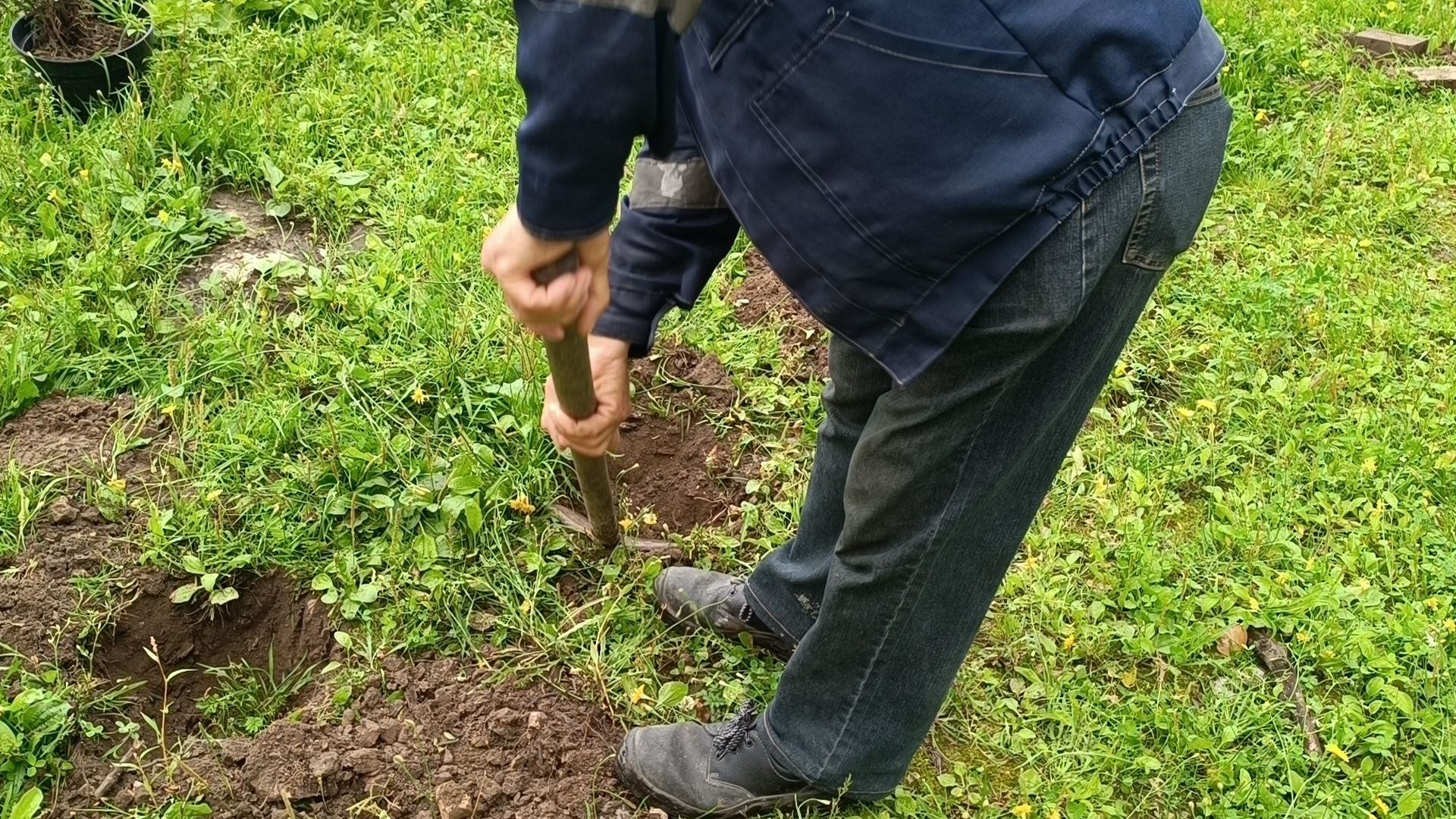 сквер,  лобня, озеленение города,
