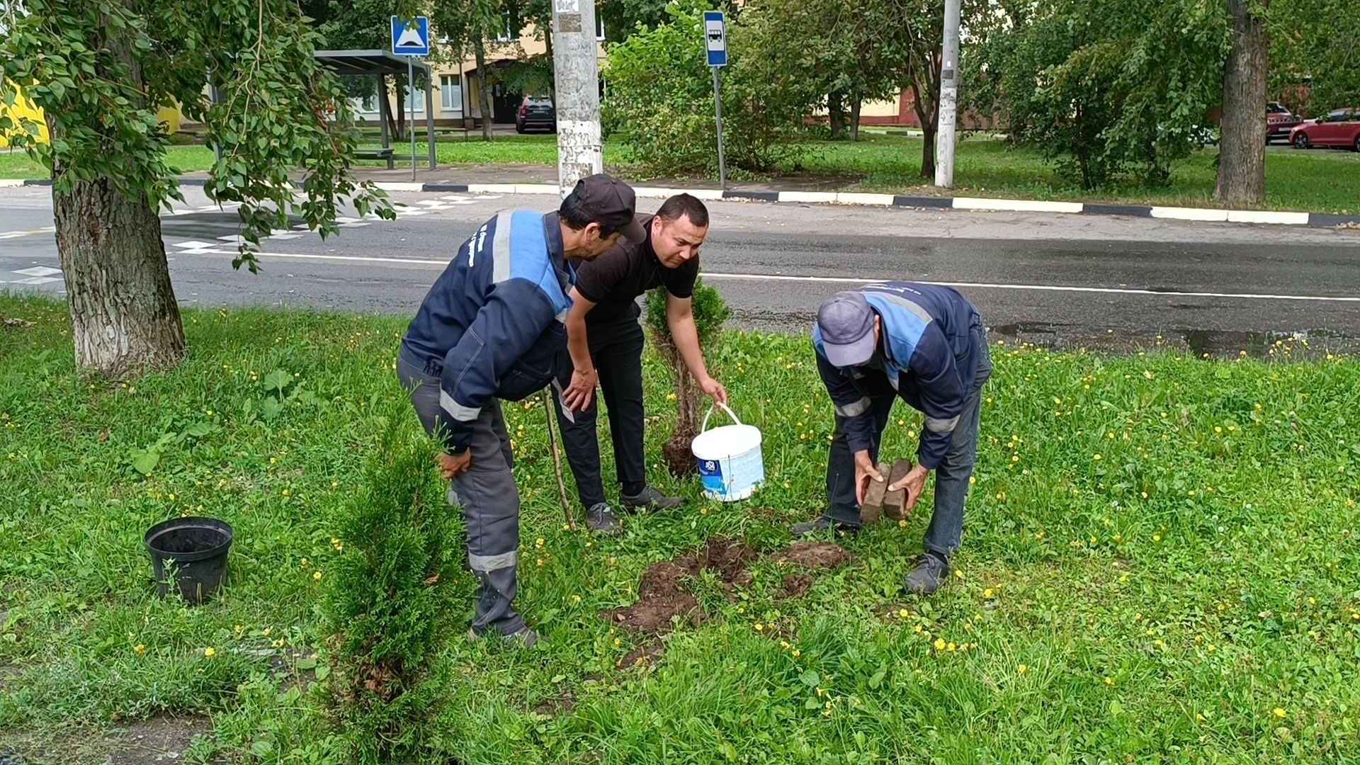 сквер,  лобня, озеленение города,