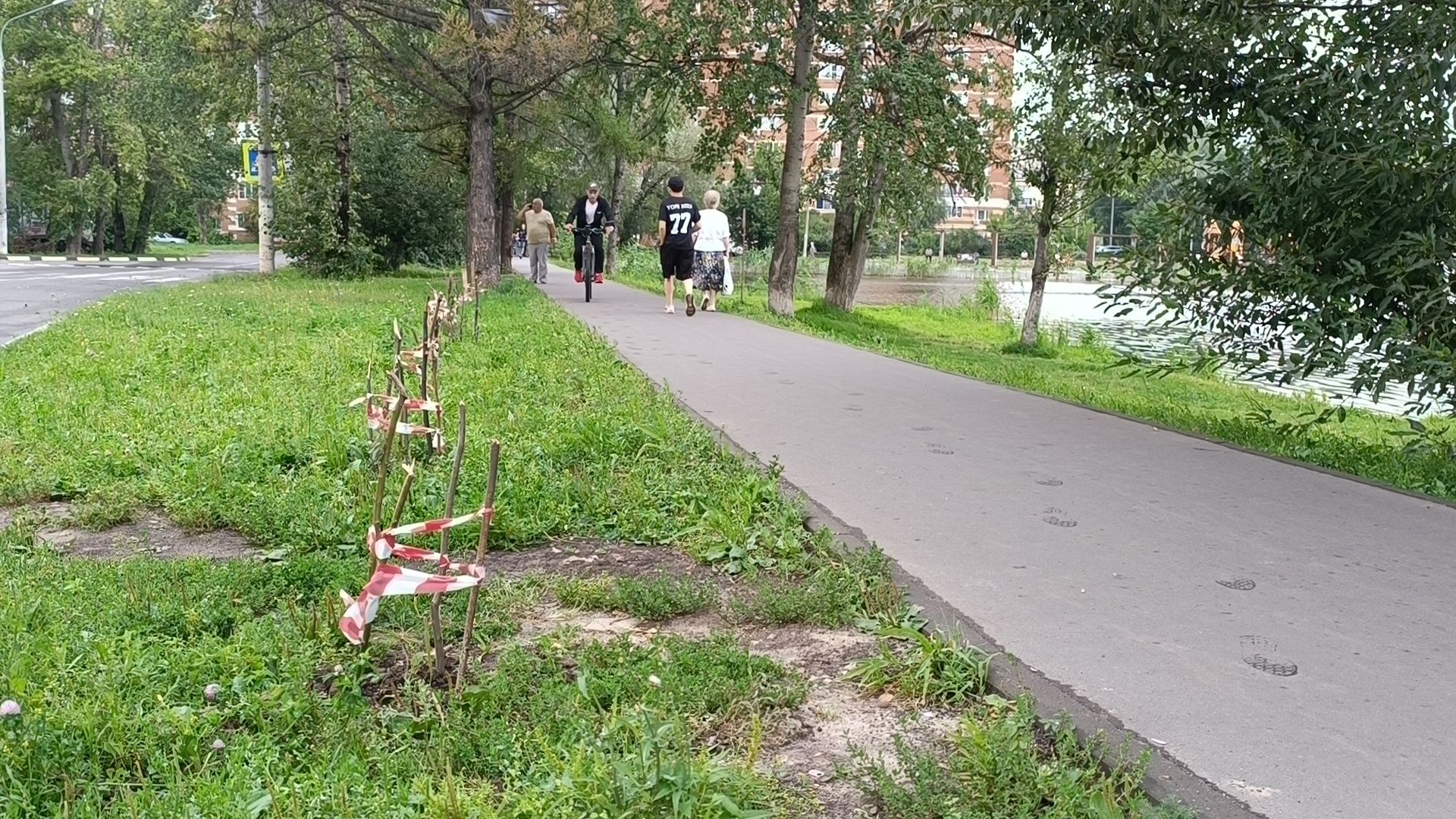 сквер,  лобня, озеленение города,