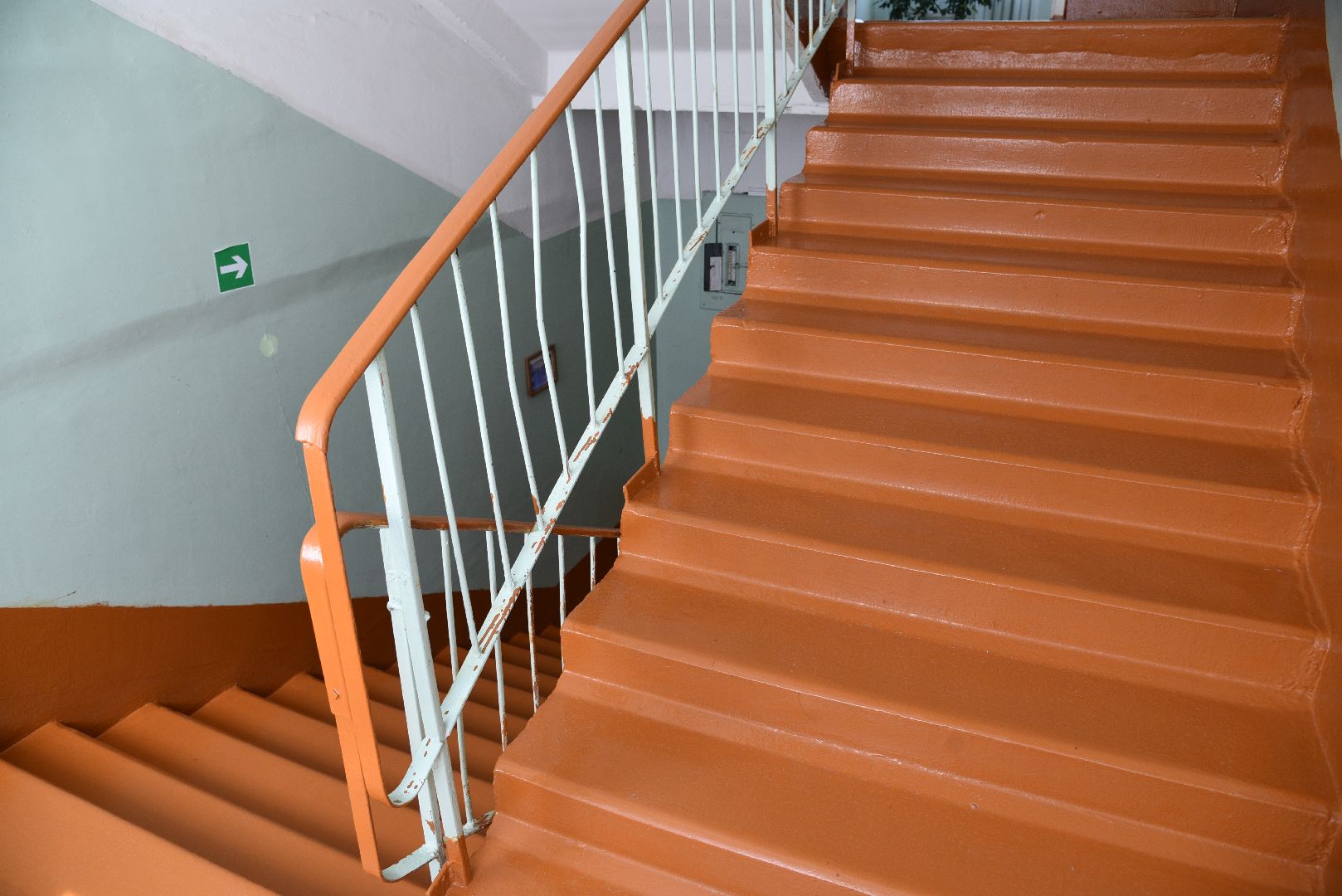 лотошино, ошейкинская школа, ошейкино, образование, новый учебный год,