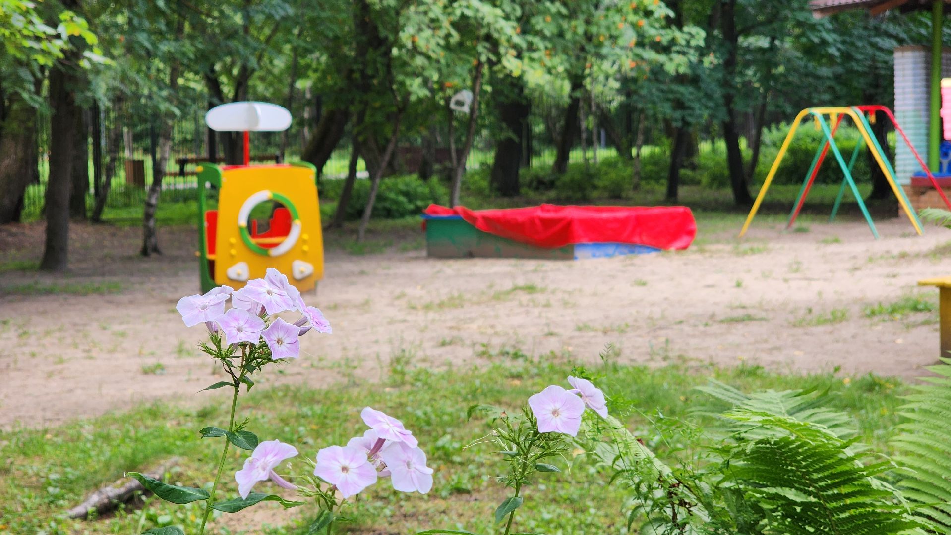 протвино, гимназия протвино, дошкольное образование,