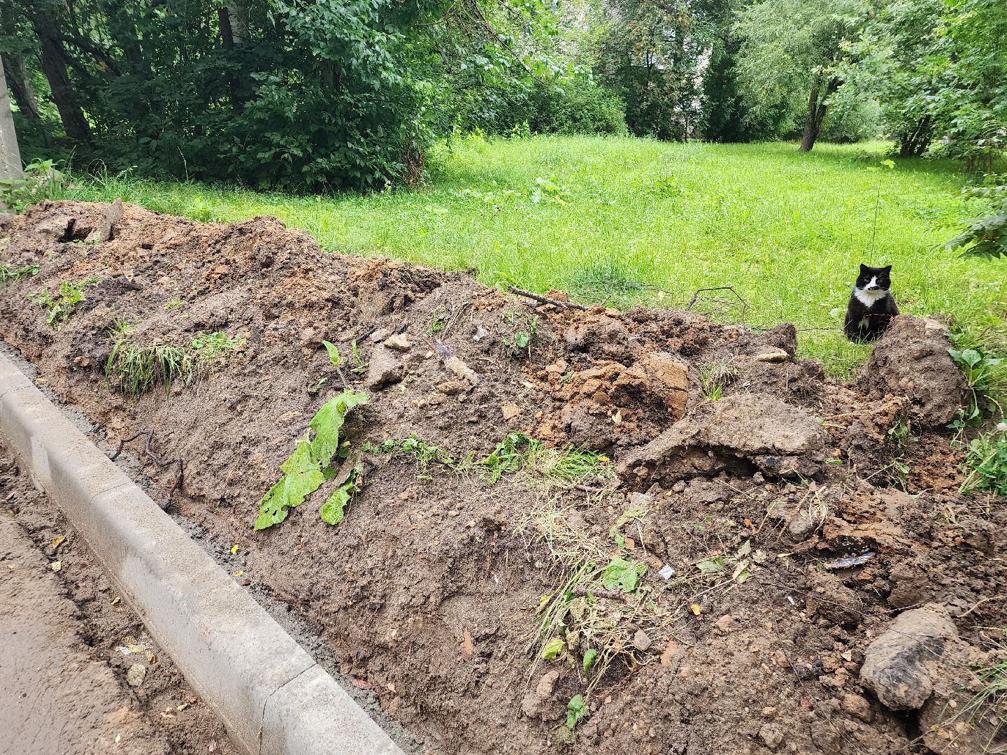 фрязино, комплексное благоустройство дворов, замена бордюров,