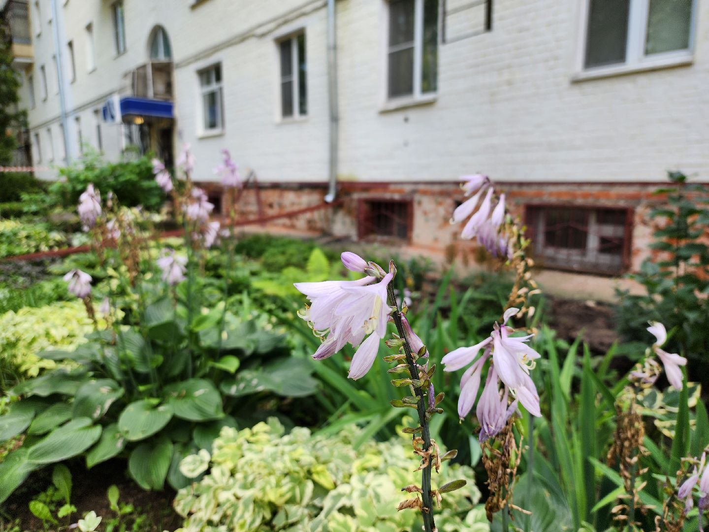 королёв, выездная администрация, микрорайон юбилейный,