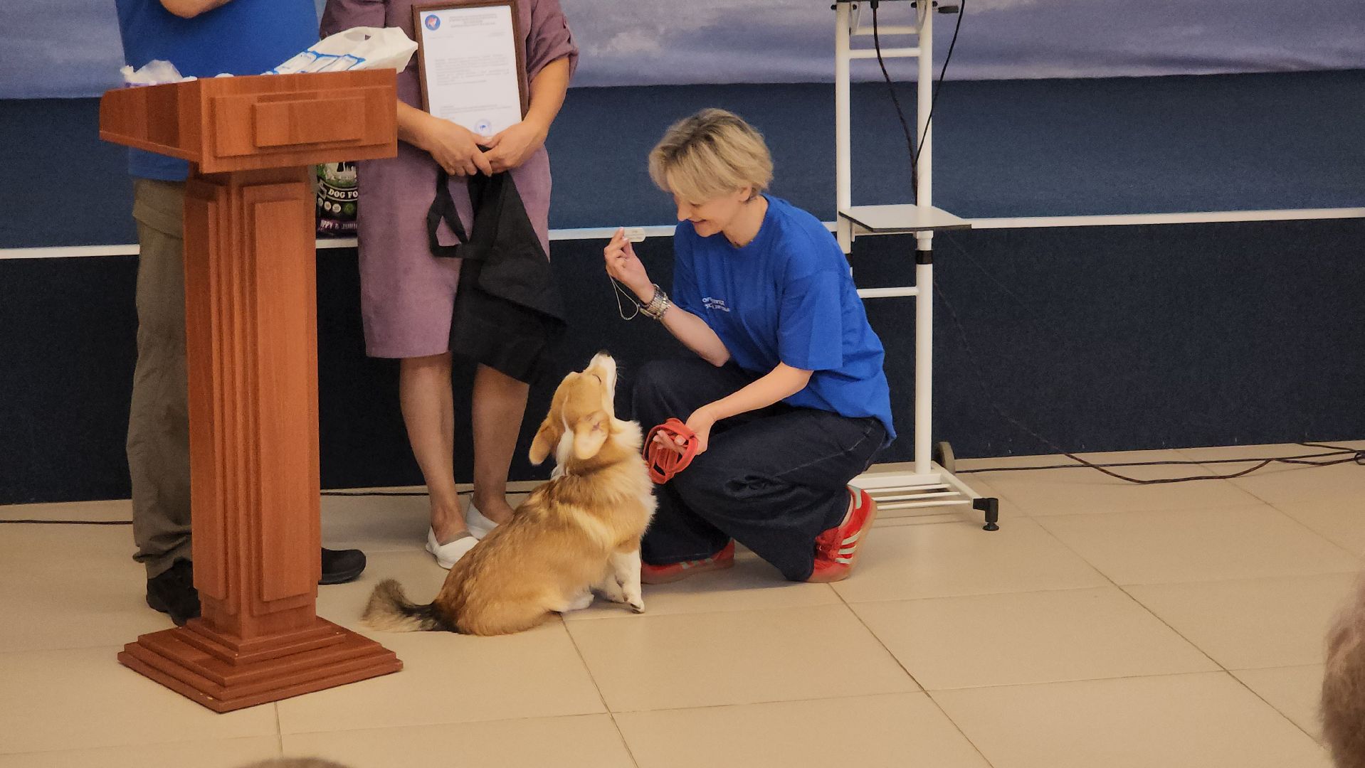 корги отряд, монино, Вручение собаки,