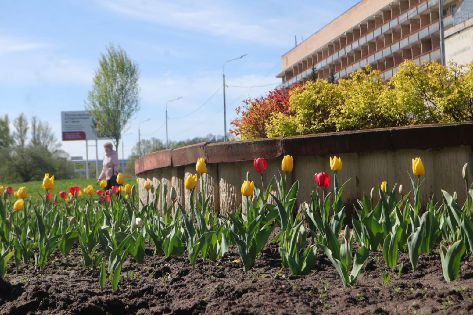 Пущино, День Победы