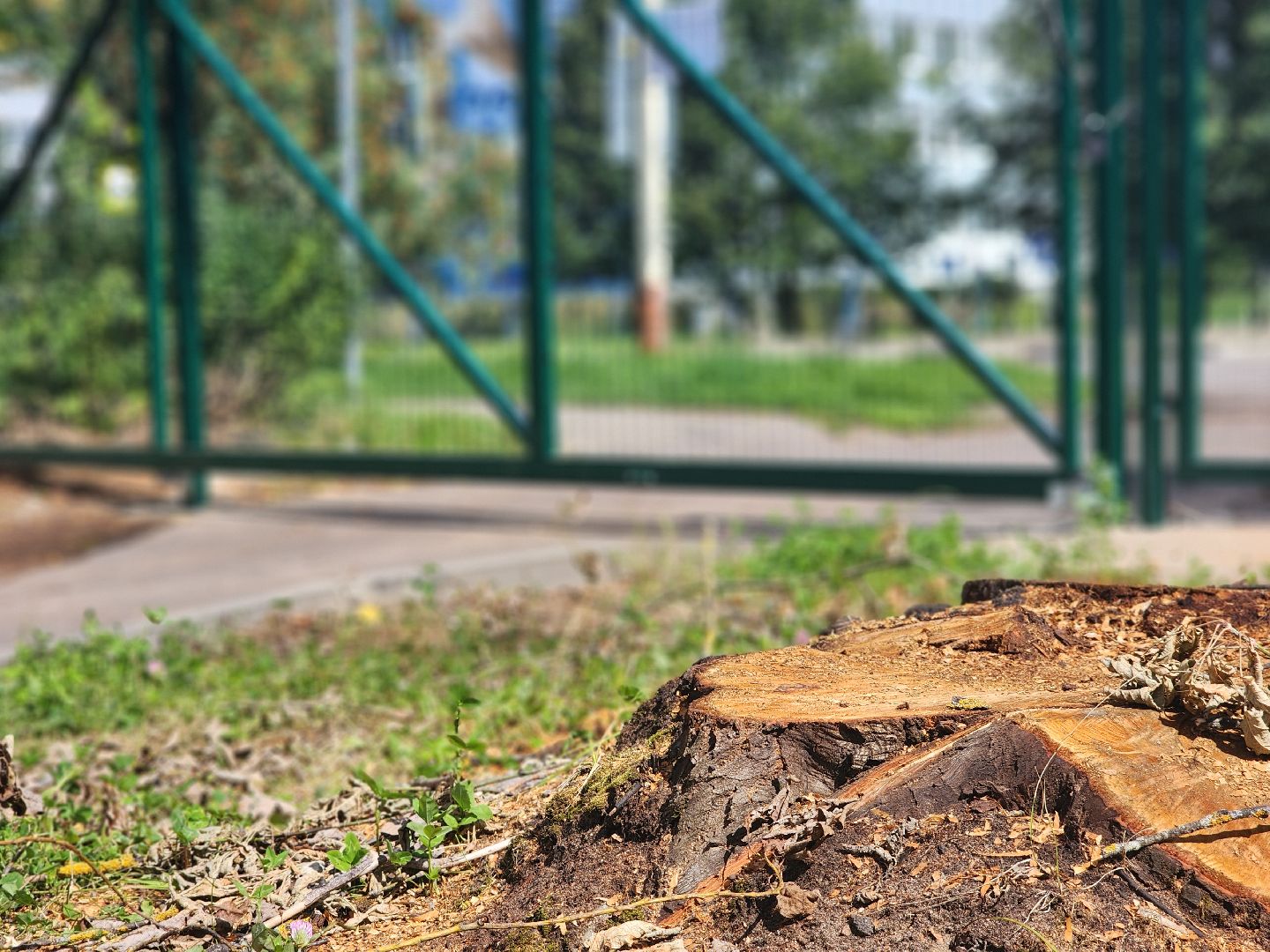 дубна, школа 7, ремонт,  помощь