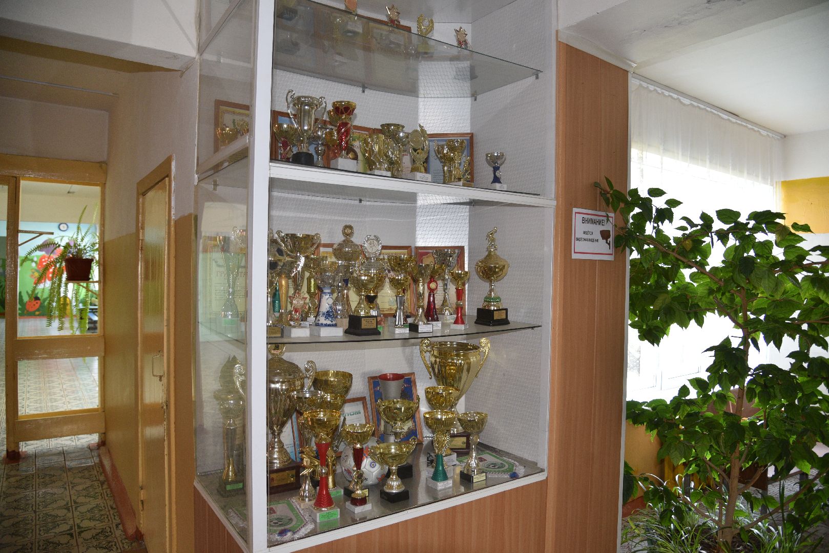 лотошино, ушаковская сош, образование, новый учебный год,