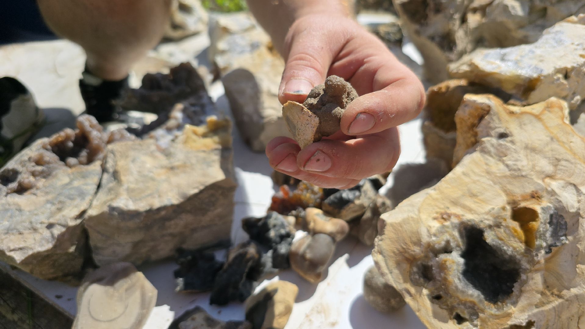 Коломна, коллекционер, минералы,