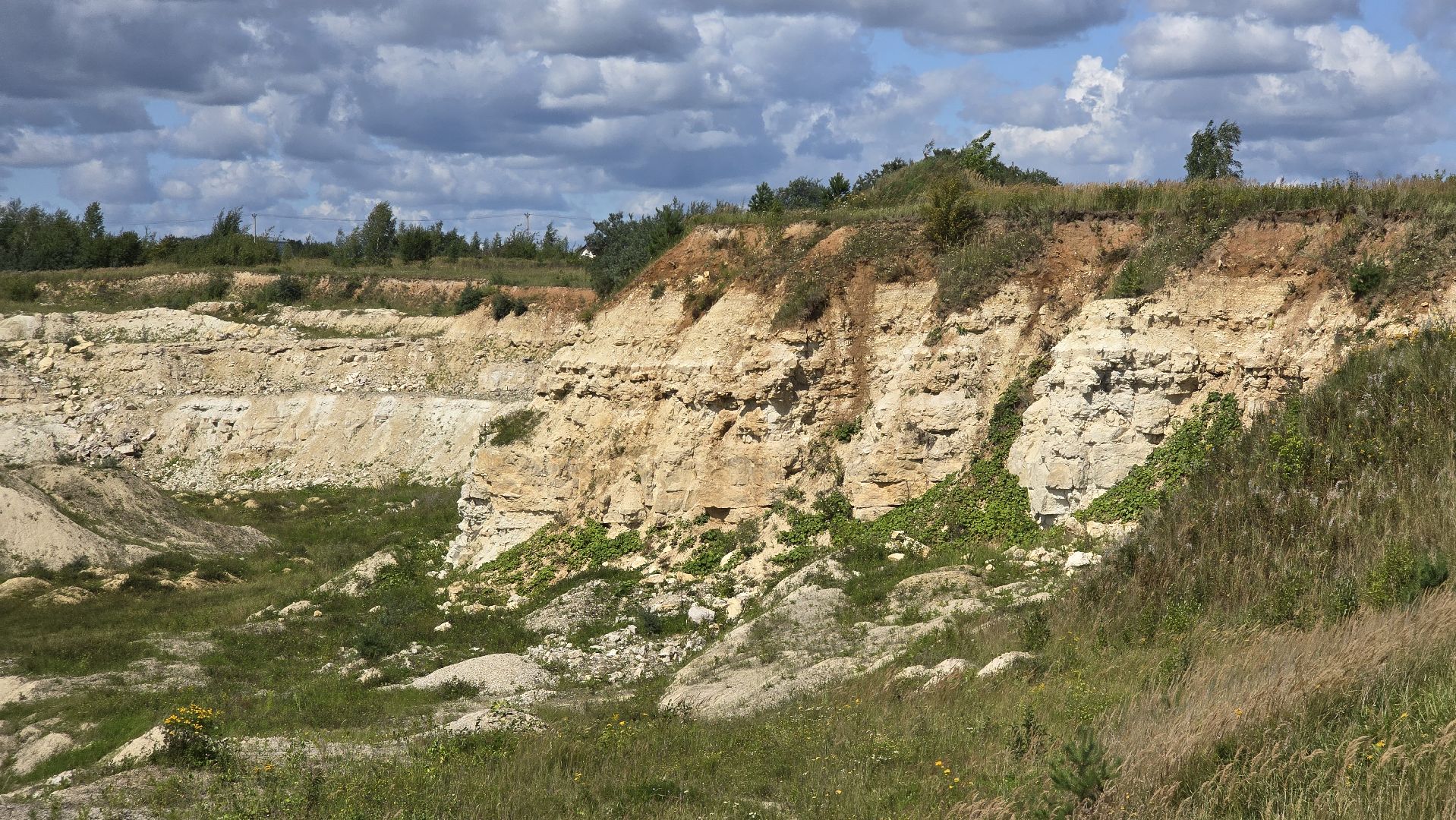 Коломна, коллекционер, минералы,