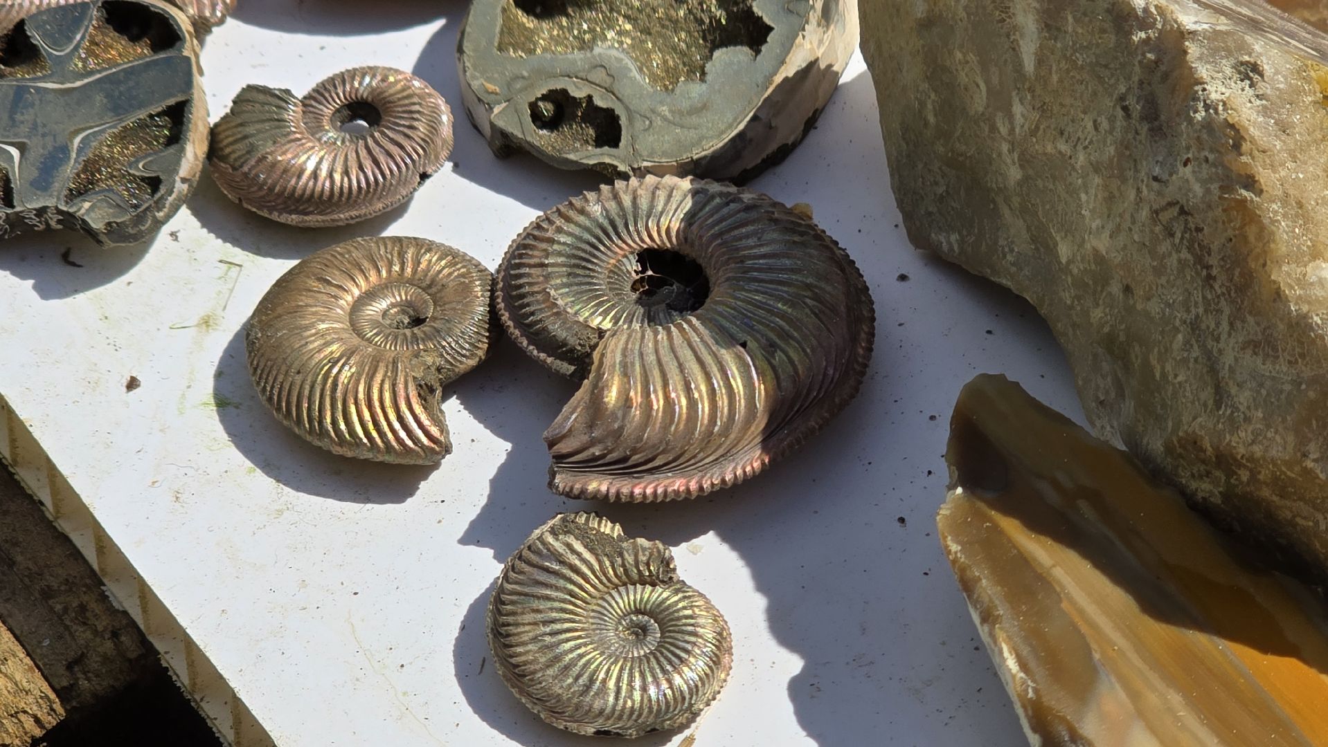 Коломна, коллекционер, минералы,