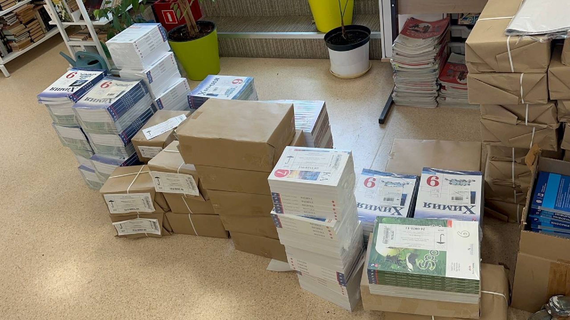 лучшие школы московской области, домодедово, подготовка к 1 сентября,