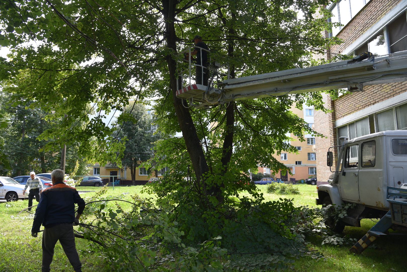 лотошино, жкх, благоустройство, добродел, обращения жителей, опиловка деревьев,