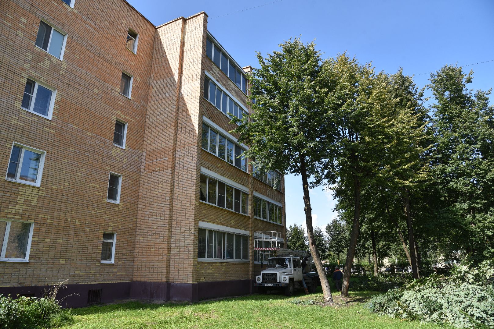 лотошино, жкх, благоустройство, добродел, обращения жителей, опиловка деревьев,