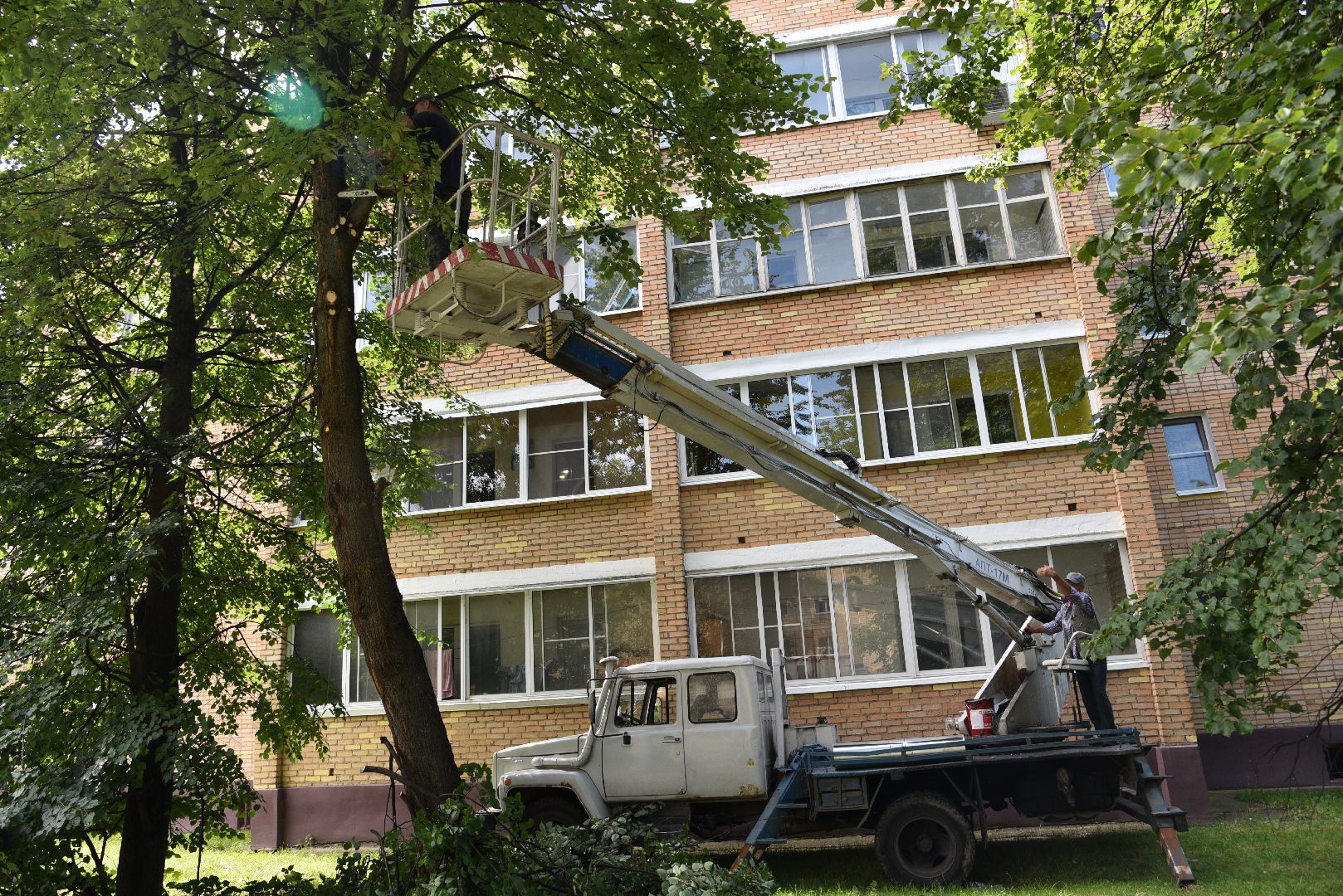 лотошино, жкх, благоустройство, добродел, обращения жителей, опиловка деревьев,