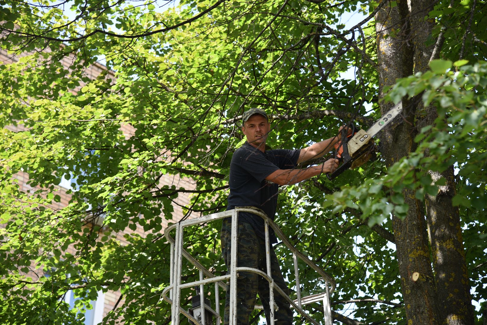 лотошино, жкх, благоустройство, добродел, обращения жителей, опиловка деревьев,